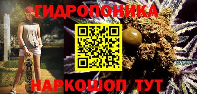 СК Пушкино