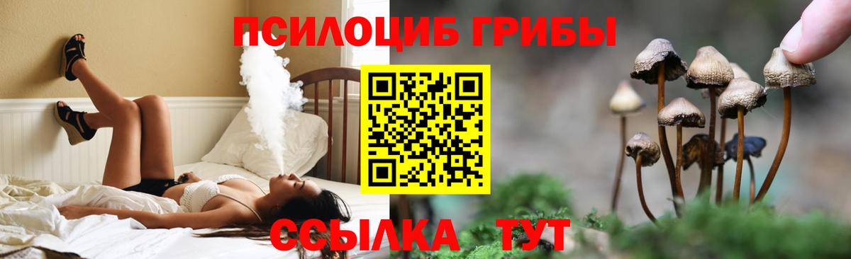 Галлюциногенные грибы мухоморы Трёхгорный